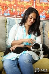 Anushka at Blue Cross Pet Carnival 2014